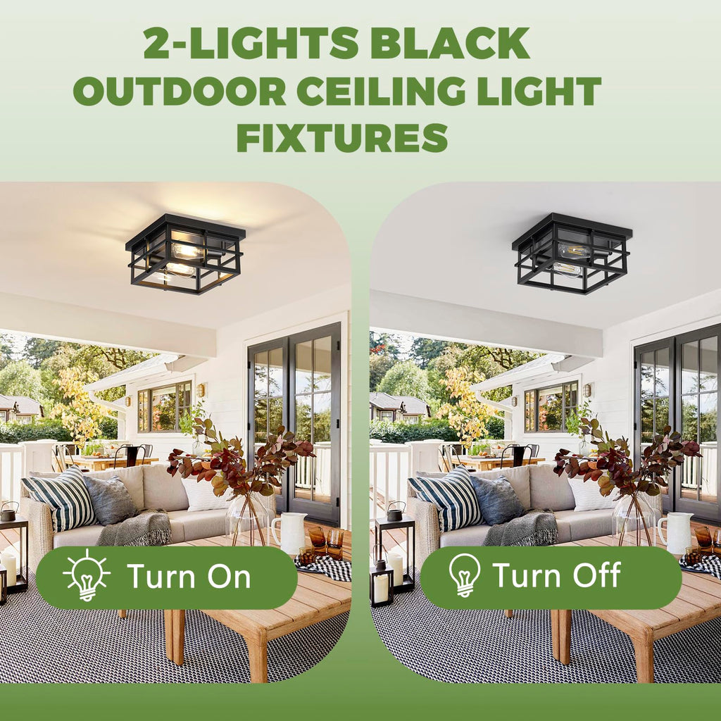 2-Light Black Flush Mount Ceiling Light, Farmhouse Kitchen Lighting Fixtures with Clear Glass, Outdoor Porch Lights
