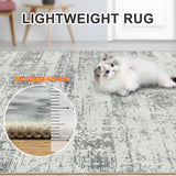 8x10 Area Rugs for Living Room - Washable Rug Modern Abstract Soft Large Neutral Non-Slip Carpet Indoor Floor Stain