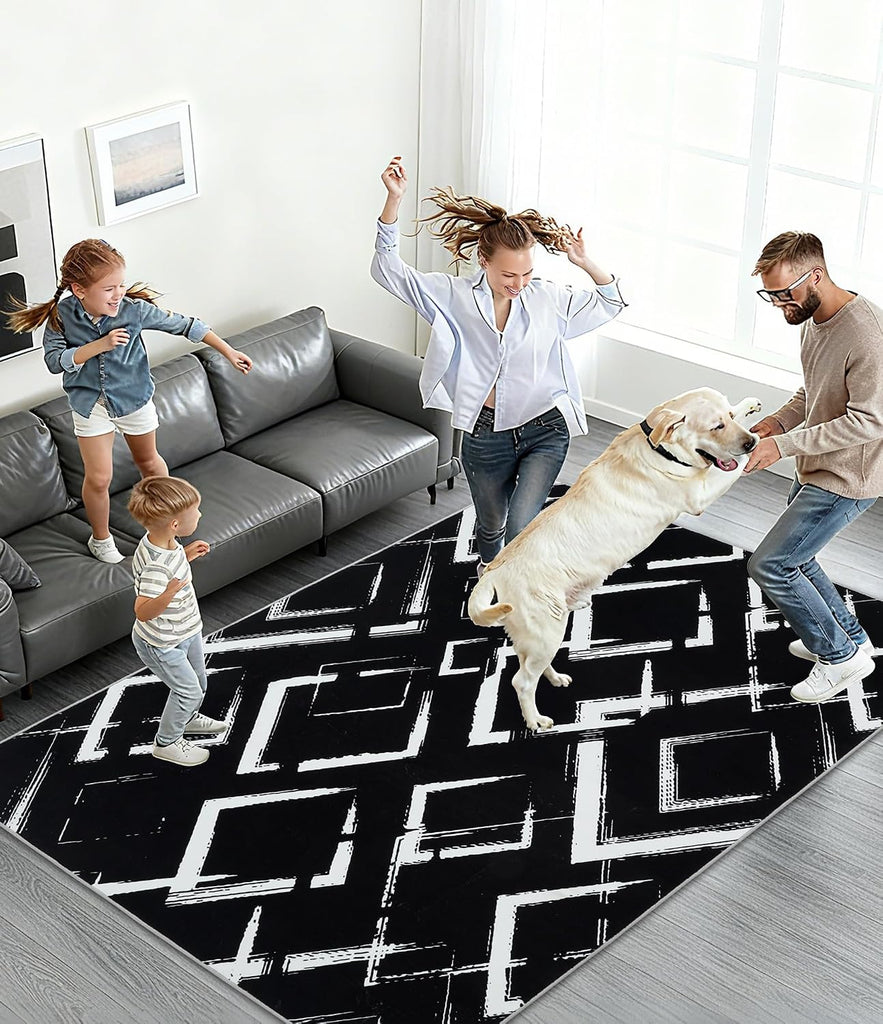 Black Modern Geometric Area Rug 8x10, Black and White Rug with Abstract Diamond Patterns,Non-Shedding Washable Rugs