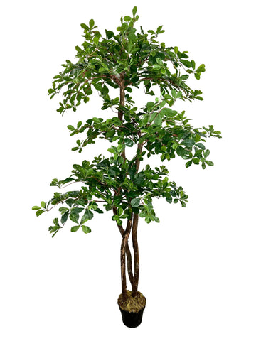 Handmade 6.5ft 3-Tier Italian Black Olive Leaf Artificial Tree with Ethically Sourced Real Wood Trunks
