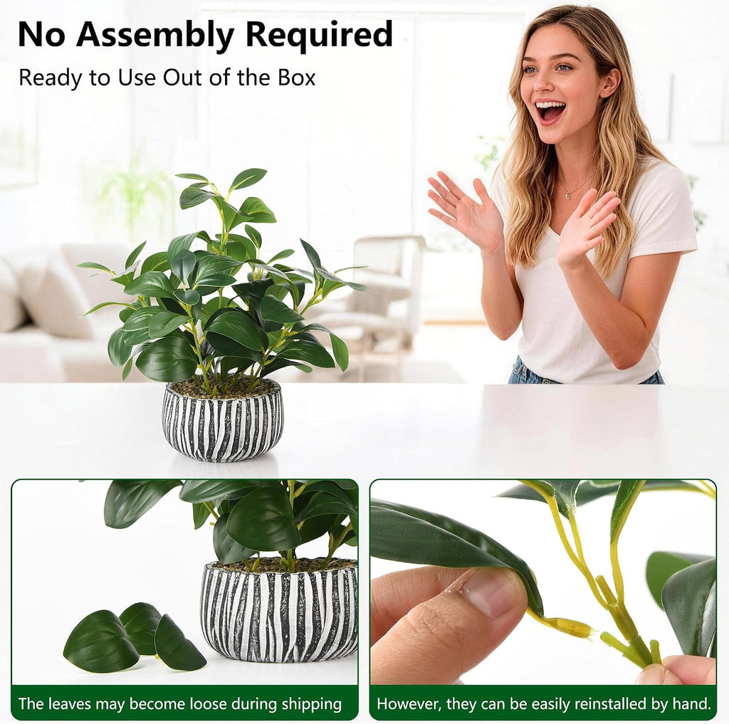 Artificial Plants Succulents with Fig Leaf Greenery in Rustic Clay Planter | Fake Plants Potted Decor Desk and Coffee