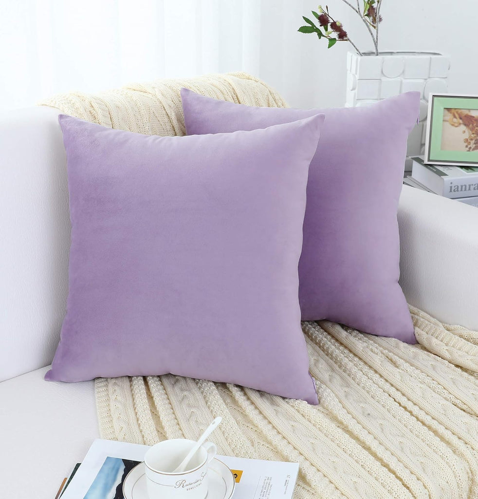 Comfy Soft Thick Velvet Throw Pillow Cases, Decorative Solid Square Cushion Covers, 18 x 18 Inches, 2 Pieces)