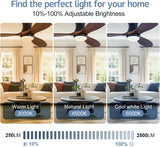 42 Inch Inspired Maverick Style Low Profile Smart Ceiling Hugger Fan with LED Light & Remote - Flush Mount, Solid Wood Blades, 6-Speed - Black