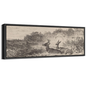Large Framed Canvas Vintage Deer Meadow Landscape Illustrations Modern Art Calm Warm - 60"" x20