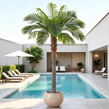 6FT Artificial Coconut Palm Tree 1-Pack, Faux Sago Palm in Cement Pot