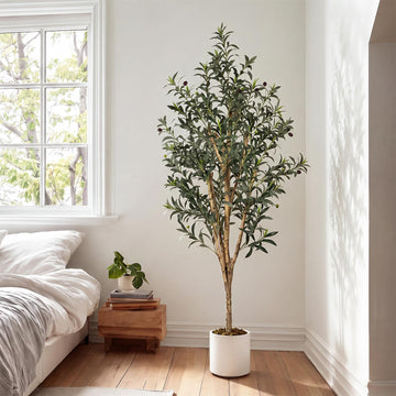 6ft Faux Olive Tree with White Planter, Artificial Trees Indoor