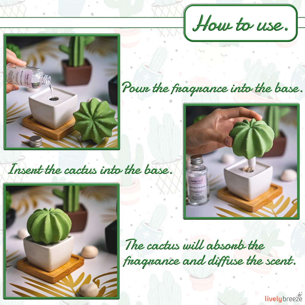 Dotti Cactus, Non-Electric Ceramic Diffusers for Essential Oils and Aromatherapy Fragrance, White Ceramic Diffusers
