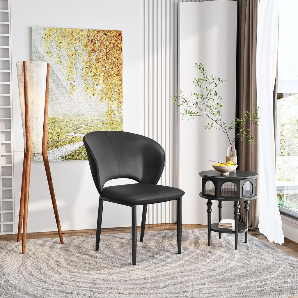Dining Chairs Set of 2, Kitchen Chairs, Modern Upholstered Dining Room Chairs for Living Room, Dining Room