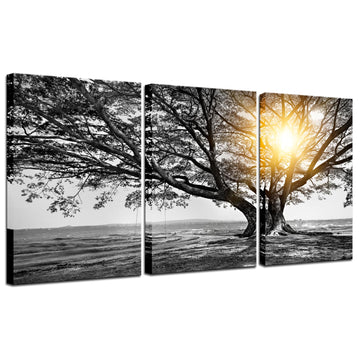 3 Piece Wall Art Black White Tree at Warm Sunrise Landscape Picture Photo Canvas Prints Nature Tree of Life Painting