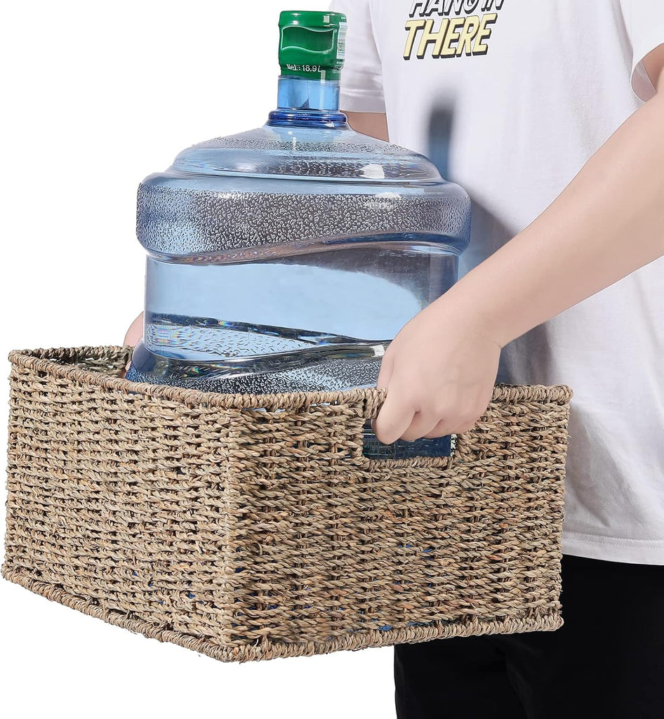 Large Wicker Baskets for Storage, Seagrass Baskets with Dual Handles, Woven Set of 2, Natural