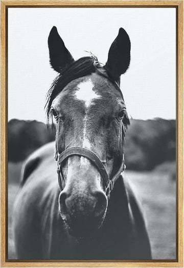 Framed Canvas Wall Art High Contrast Horse Animals Black and White Duotone Expressive Grey Horse Living Room