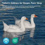 Goose Feather Down Fiber Comforters King, Extra Fluffy White Duvet Insert, Ultra-Soft, Breathable