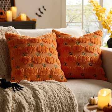 Fall Orange Pumpkin Pillow Covers 20x20, Pack of 2 Halloween Couch Throw Pillows Cute Decorative Covers for Lving