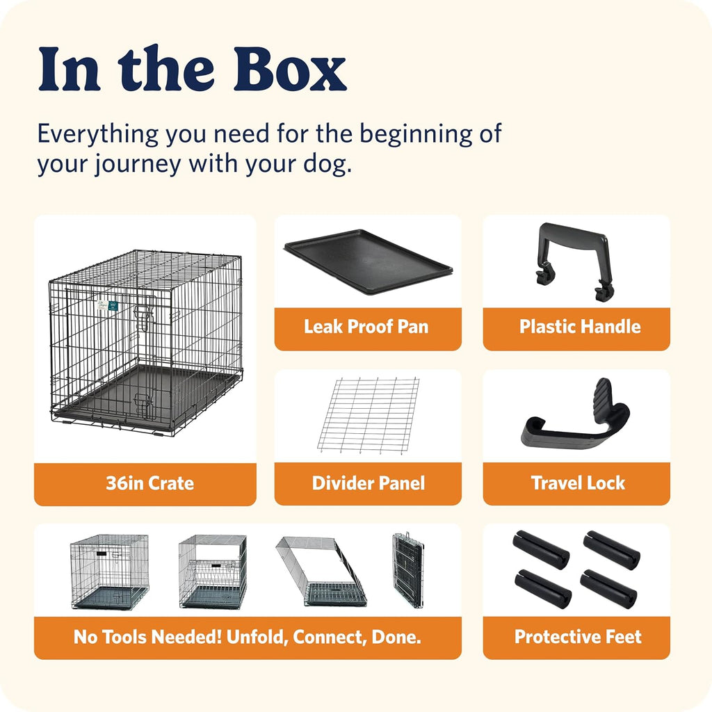 Intermediate LifeStages Single Door 36-Inch Folding Dog Crate, Enhanced Security, Includes Leak-Proof Pan