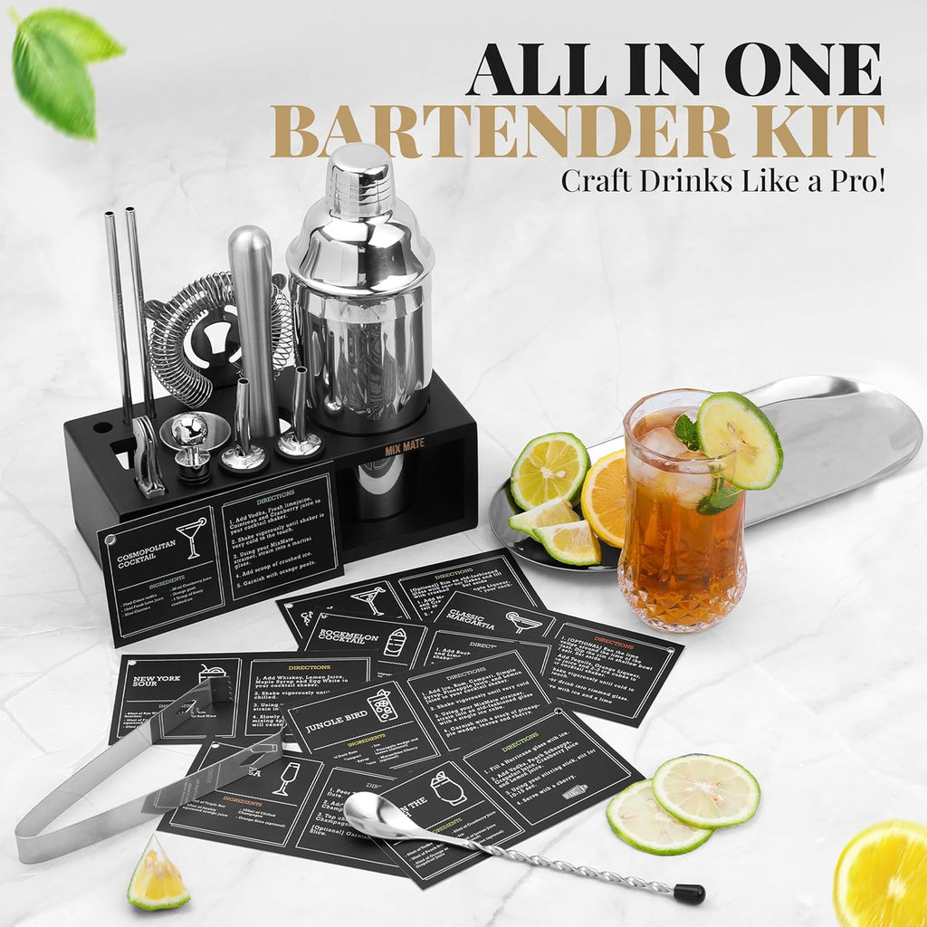 Mixology Bartender Kit with Stand - 15 Piece Bar Tool Set, Silver Bar Set Cocktail Shaker Set for Drink Mixing