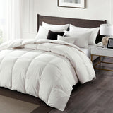 Down Comforter Queen, All Season Duvet Insert, 100% Organic Cotton Cover