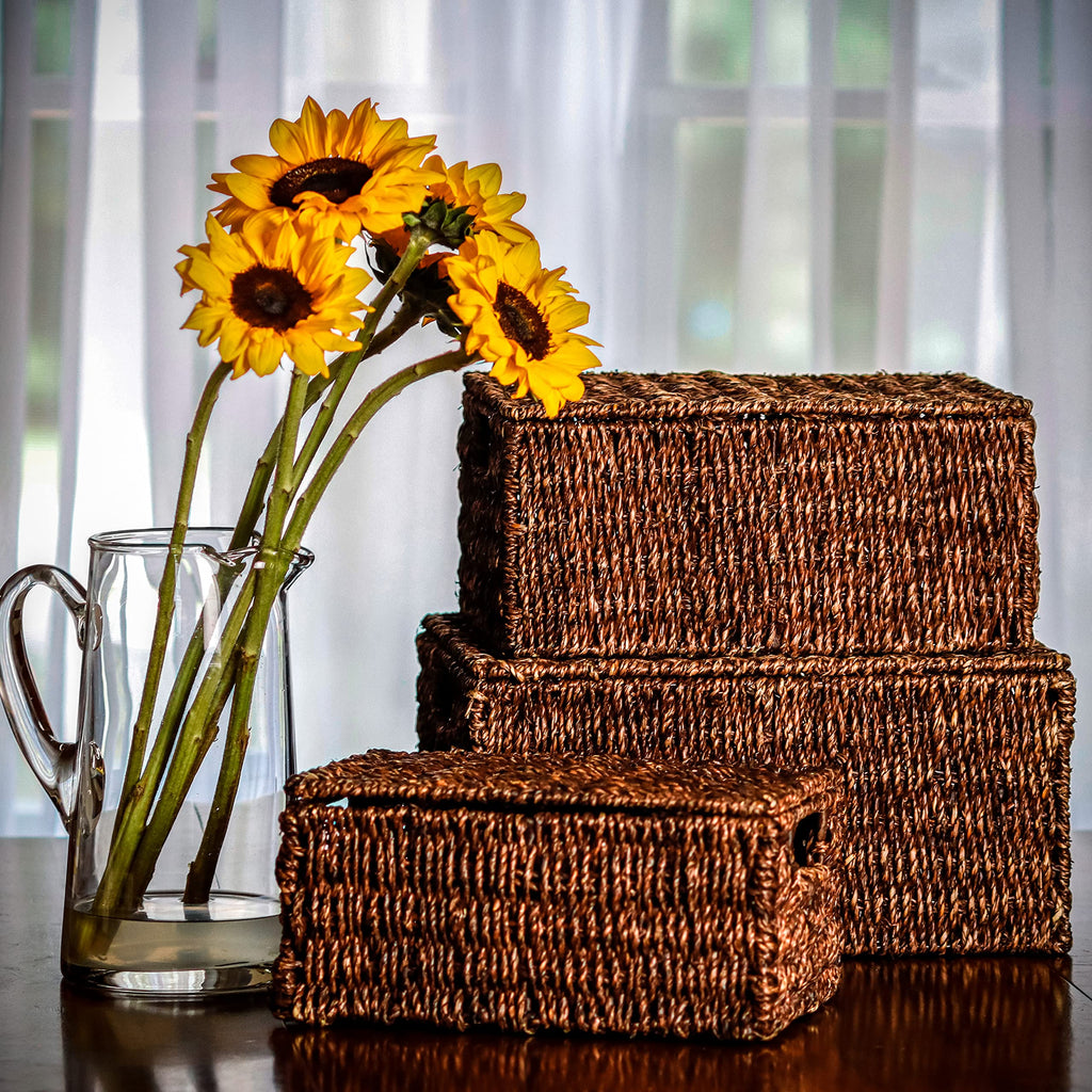 Set of 3 Rectangular Seagrass Baskets with Lids, Brown (Small)