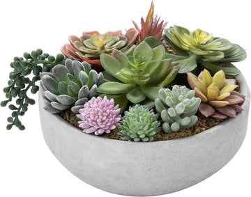 8 Inch Round Artificial Succulent Plants in Gray Concrete Plant Bowl | Indoor Decorative Greenery, Assorted Faux Mini