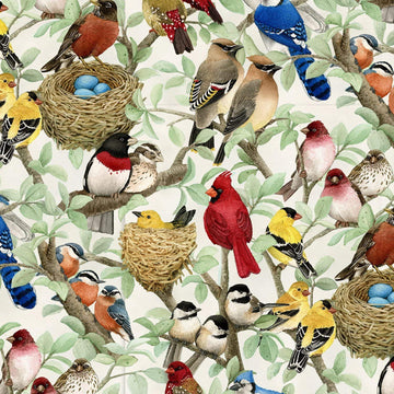 Beautiful Birds Tree Branches Cream Premium Quality 100% Cotton Fabric by 1/2 of a Yard.