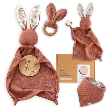 Organic Cotton Newborn Gifts Box, Baby Gifts Unisex incl. Muslin Baby Lovey Comforter (2Pcs) + Baby Bandana Bib Drool