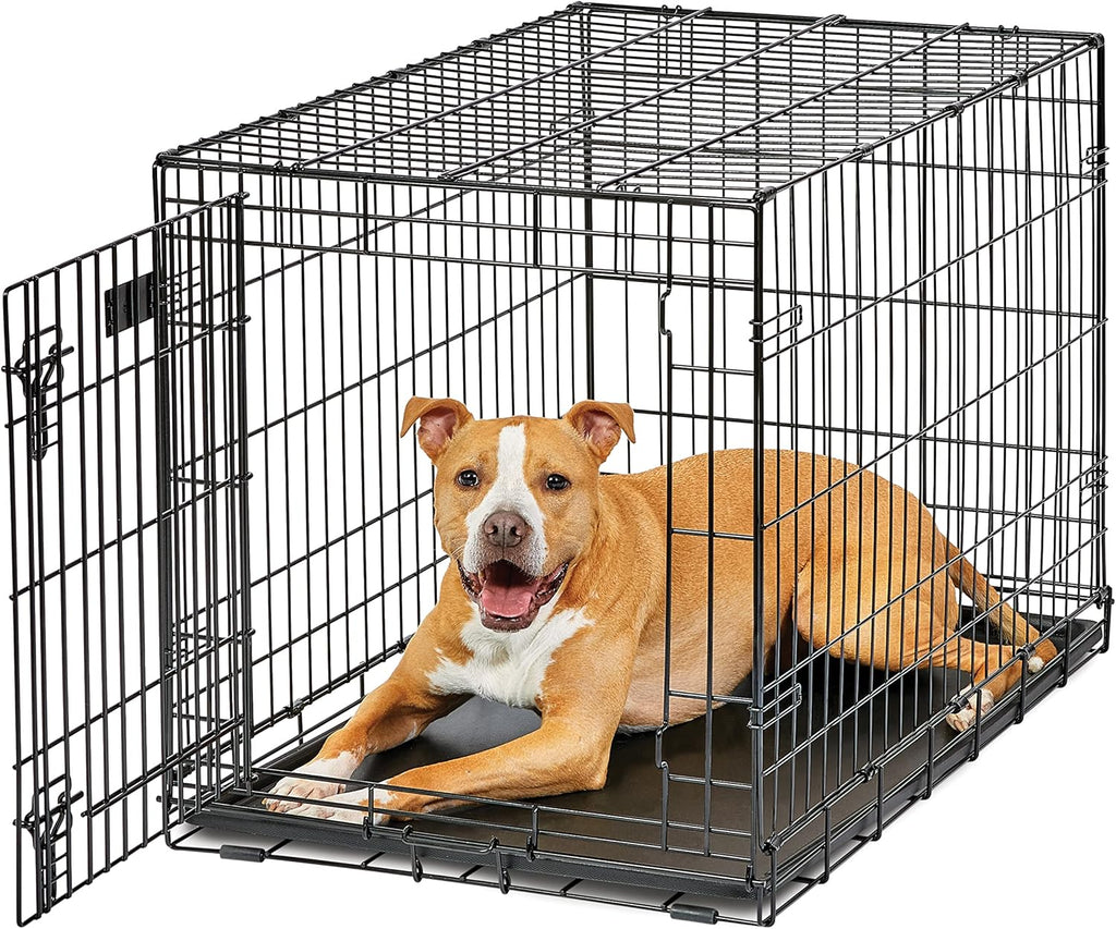 Intermediate LifeStages Single Door 36-Inch Folding Dog Crate, Enhanced Security, Includes Leak-Proof Pan