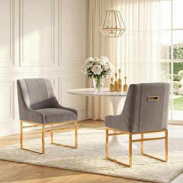 Kitchen & Dining Room Chairs Set of 2 Mid Century Modern Dining Chairs Upholstered Dining Chairs with Polished Gold
