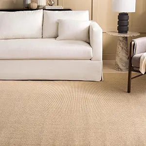 X Area Rug Collection - 9' x 13', Beige & Ivory, Sisal & Jute, Farmhouse Style, Ideal, Dining Space (MSR9501C)