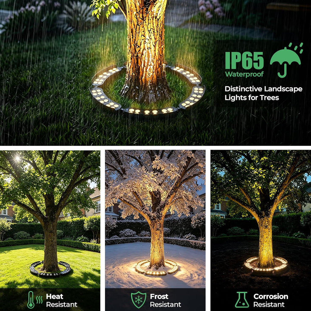 Outdoor Ring Tree Lights, 12V 72W Aluminum LED Landscape Uplighting for Trees, 2700K Warm White, Low Voltage IP65