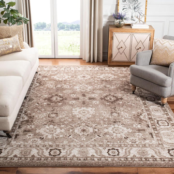 Area Rug 9x12 - Vintage Hamadan Collection - Large - Taupe, Traditional Persian Design, Non-Shedding & Easy to Clean