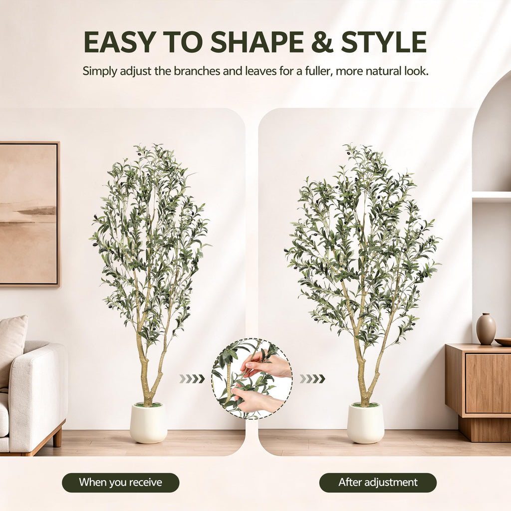 6ft Olive Trees Artificial Indoor with White Tall Planter
