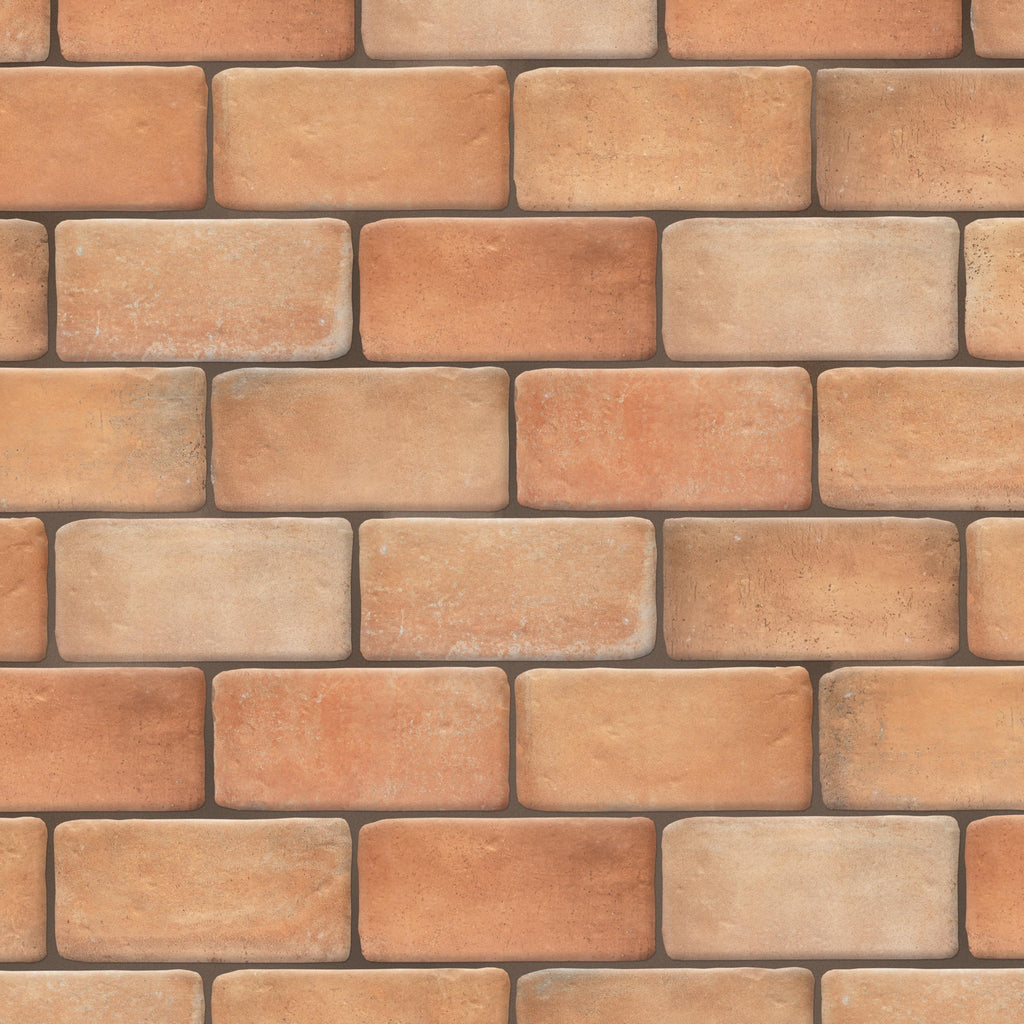 Benisa Cotto 5-7/8" x 11-7/8" Porcelain Floor and Wall Tile