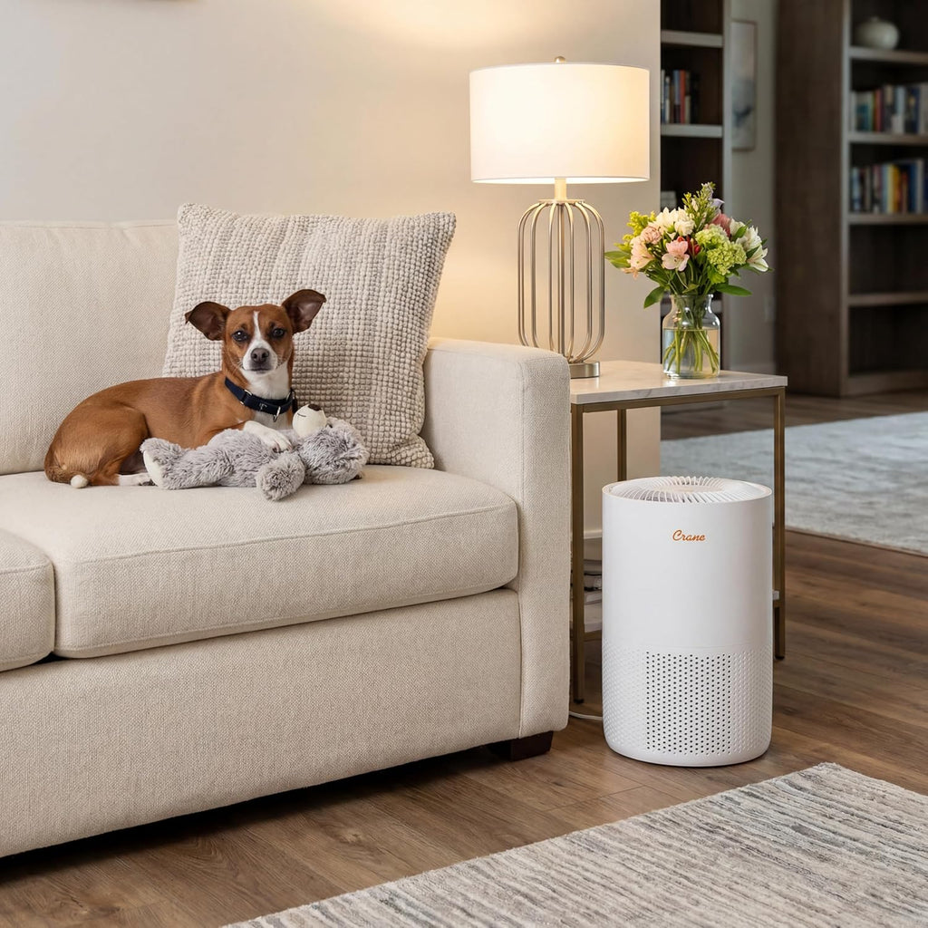 True HEPA Air Purifiers for Home, Up To 300 Sq Ft, Air Purifiers For Bedroom, and Office, Removes Du