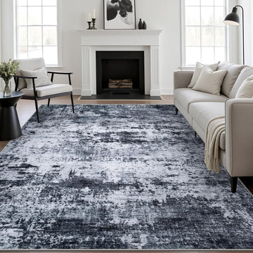 5x7 Area Rug Living Room: Modern Washable Indoor Carpet Black