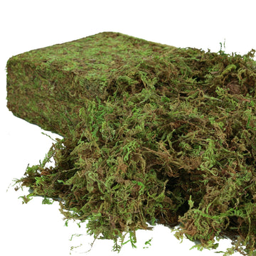 Artificial Moss for Indoor Plants, 16OZ Fake Moss for Crafts, Decorative Centerpieces, Fairy Garden, Wedding Party