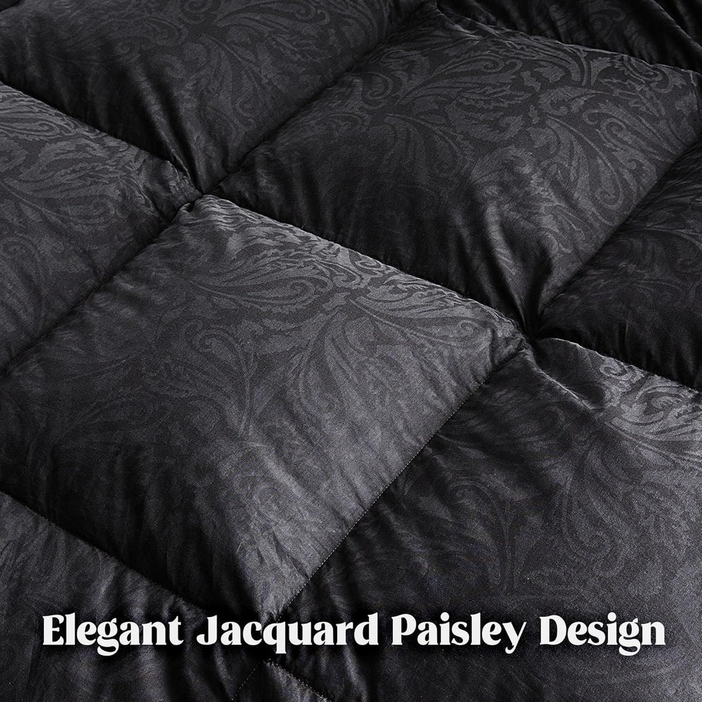 Goose Feather Down Comforter Full, All Season Luxury Hotel Fluffy Duvet Insert