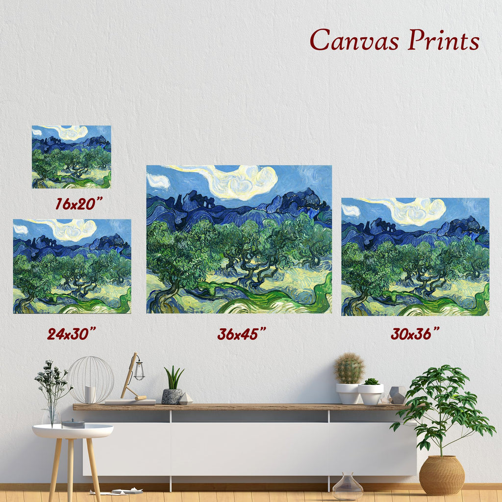 Olive Trees by Vincent Van Gogh, Canvas Print