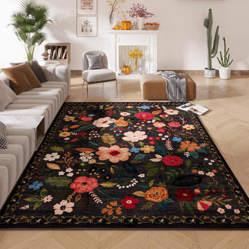 Area Rug 5x7 Washable, Black