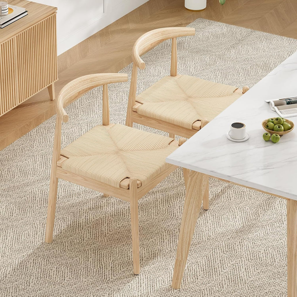 Dining Chairs Set of 2, Mid Century Modern Kitchen & Dining Room Chairs for Dining Room,Dining Table Chairs