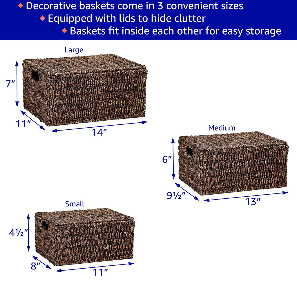 Set of 3 Rectangular Seagrass Baskets with Lids, Brown (Small)