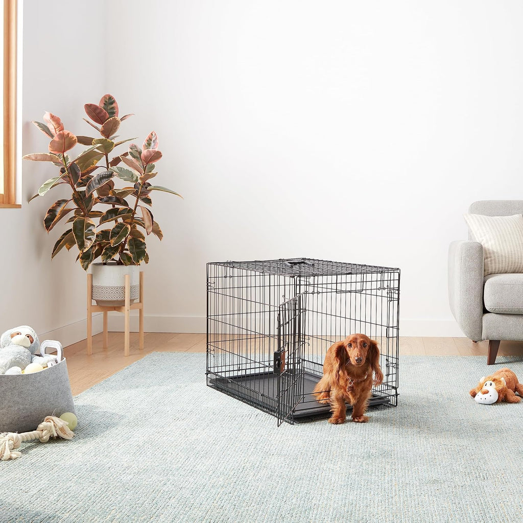 Portable, Foldable Metal Wire Dog Crate with Removable Tray, Single Door, Divider Panel, Quick Setup, 30 x 19 x 21 in, Black