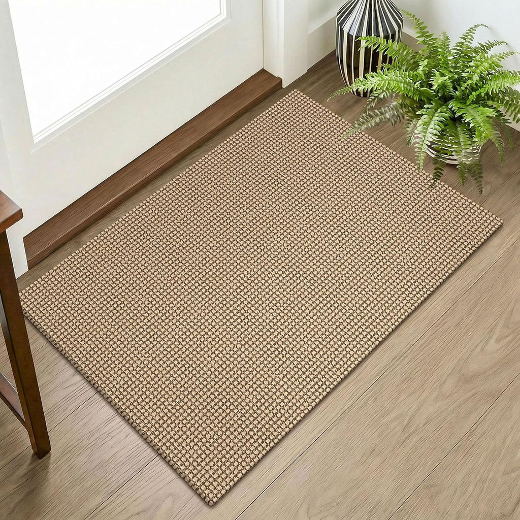 Indoor Door Mat 2x3 ft Small Area Rugs Washable Front Door Mat Non Slip Rubber Backed Entryway Rug C