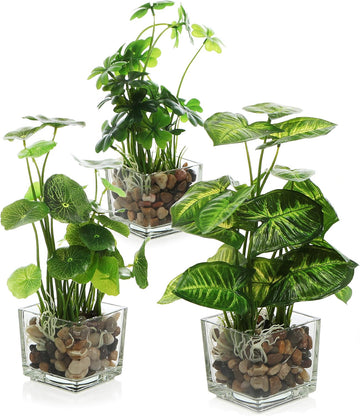 Set of 3 Small Assorted Artificial Plants in Clear Glass Pot | Indoor Faux Plant Potted in Pebbles Decor, Mini