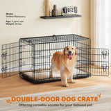42 inch Double Door Dog Crate w/Divider for Puppy to Adult XL Collapsible Metal Crate with Removable Tray Wire Dog