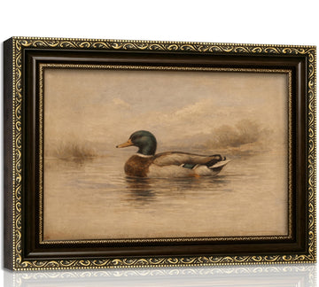 Vintage Framed Mallard Duck Wall Art Naturalist Wildlife Wall Decor Rustic Waterfowl Painting Picture Muted