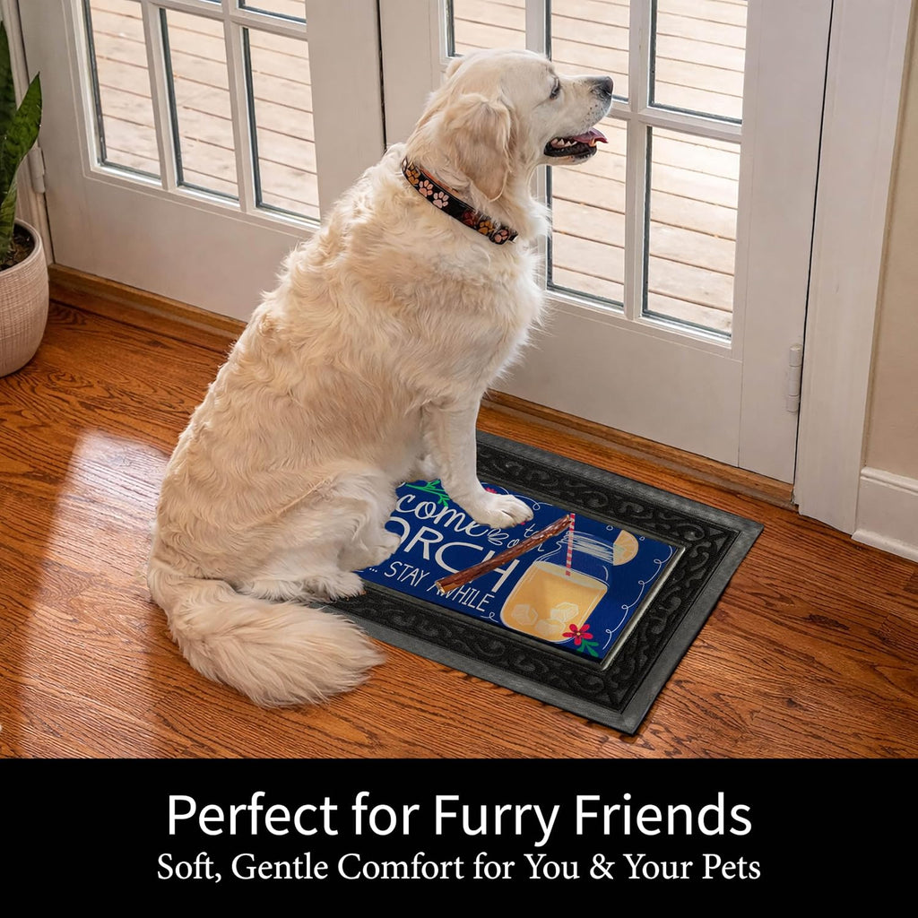 Sassafras Doormat Insert Bundle & Tray Set of 5, Spring Summer Fall Winter Interchangeable Entrance Door mats Indoor