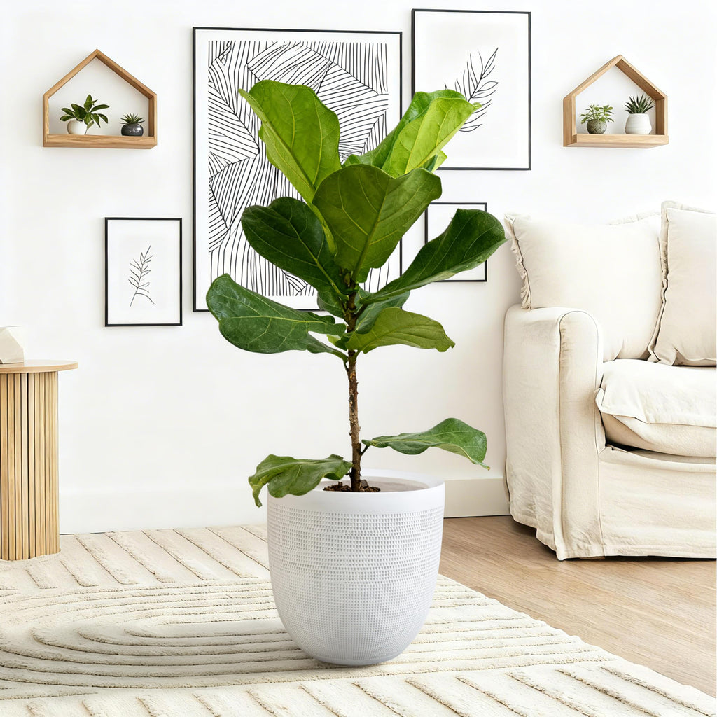 12 Inch Dia Round Fiberstone Planter - White Matte Decorative Flower Pot with Drainage Hole, Lightweight Durable