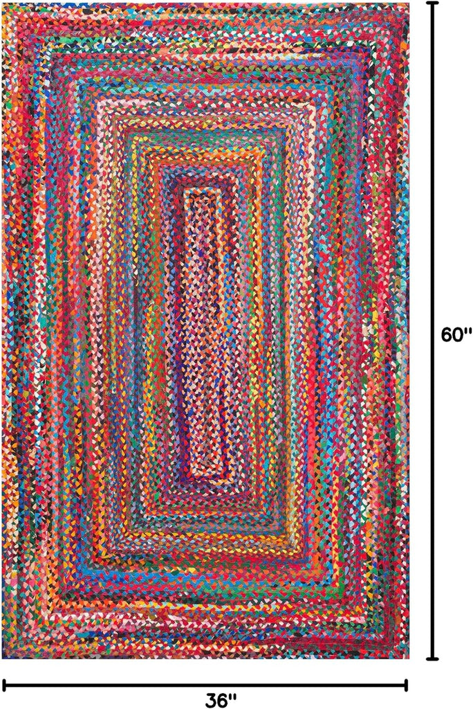 Tammara Multicolor Ombre Braided Area Rug, 3' x 5'