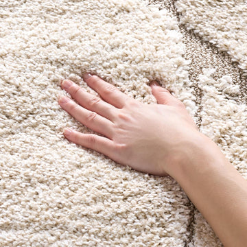 Florida Shag Collection Area Rug, Cream & Beige, Non-Shedding & Easy Care, 1.2-inch Thick Ideal for