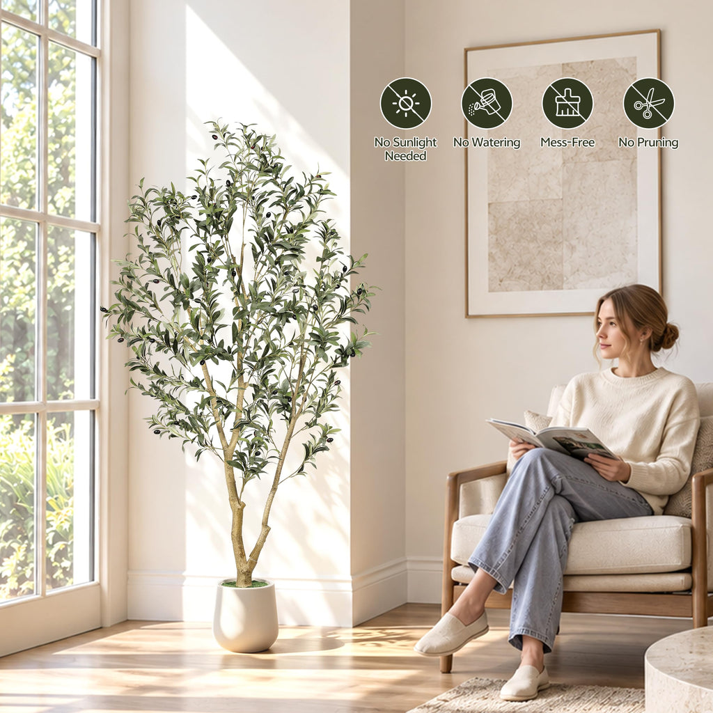 6ft Olive Trees Artificial Indoor with White Tall Planter