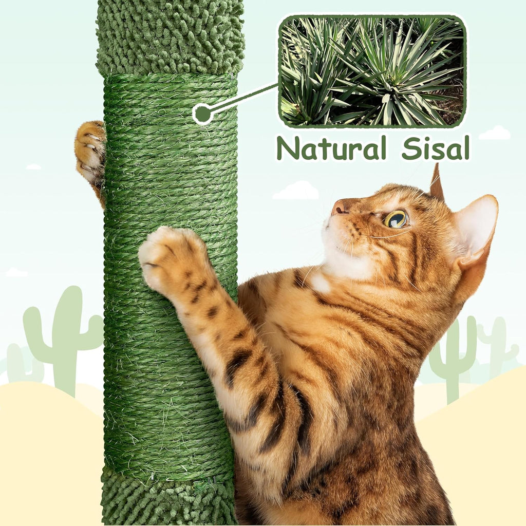 Cactus Cat Tree | 59.5in Cat Tower w/Cute Perch, Cozy Condo